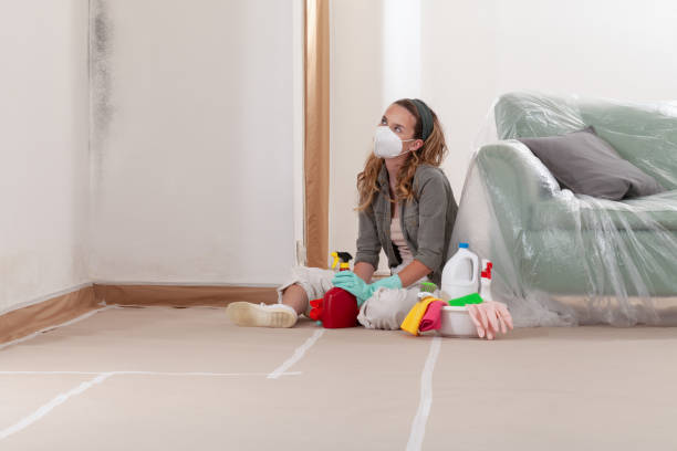 Reliable Mold Remediation contractor in Sandy Spring, MD by WQB Mold Removal